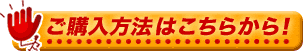 ご購入方法はこちらから!