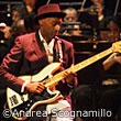 Marcus Miller̉摜