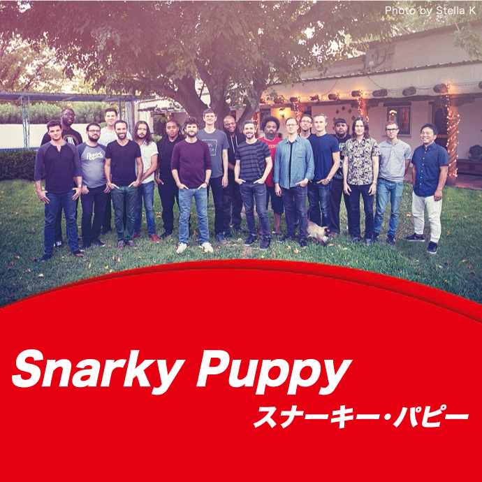 Snarky Puppy